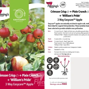 Apple Crimson Crisp/Pixie Crunch/William Pride - Multi Graft