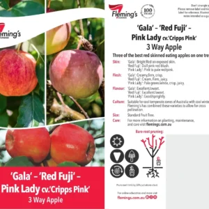 Apple Gala/Pink Lady/Red Fuji - Multi Graft