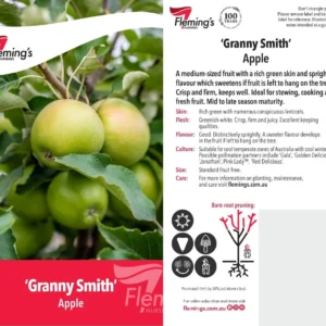 Apple Granny Smith