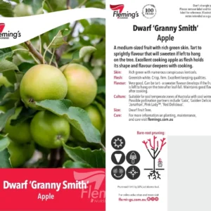 Apple Granny Smith -Dwarf