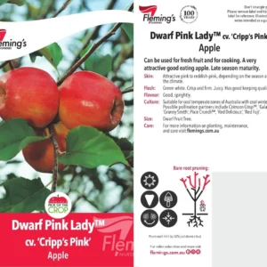 Apple Pink Lady -Dwarf