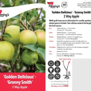 Apple Golden Delicious/Granny Smith - Multi Graft