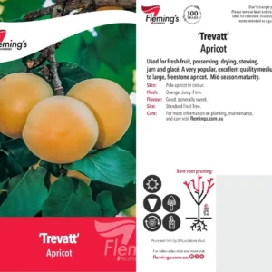 Apricot Trevatt