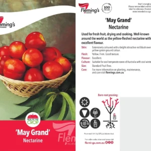 Nectarine May Grand