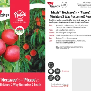 Nectarine Nectazee/Pixzee - Multi Graft