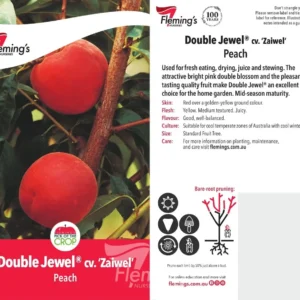 Peach Double Jewel
