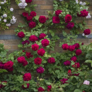 Tess of the D'Urbervilles - David Austin